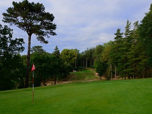 Hole N ° 3 - par 3 - 145 m. - Cut in a hedge of trees, this par 3 uphill is not difficult for its length but for the difficulty of its green on a left / right slope.