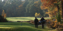 The harmony of golf with nature and its proven health benefits, two major advantages!