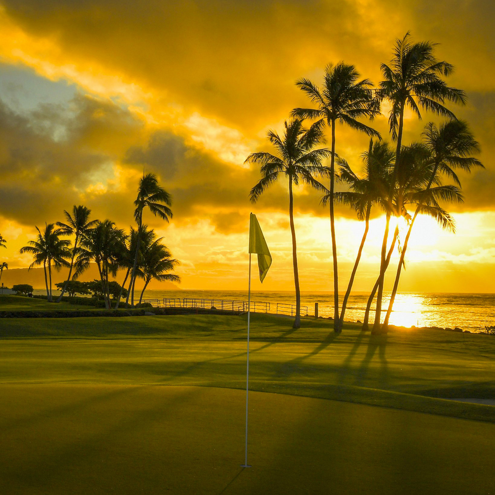 Second week in Hawaii for the PGA Tour • Women's Swing