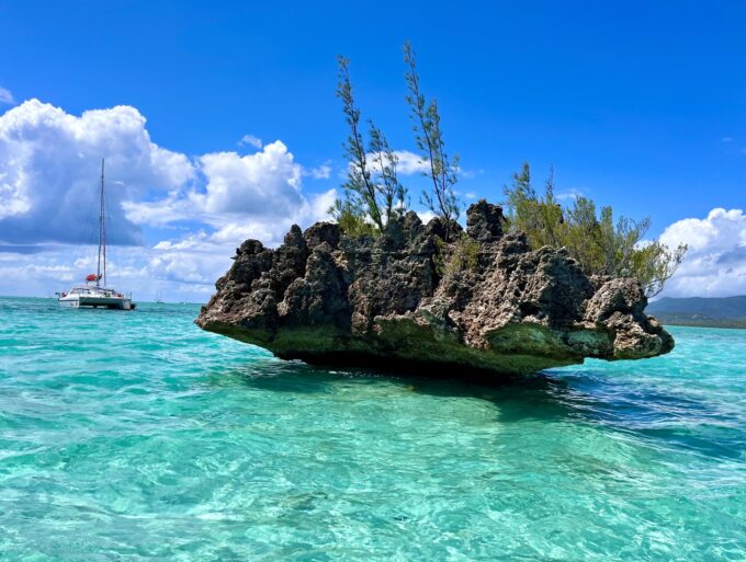 Catamaran 2